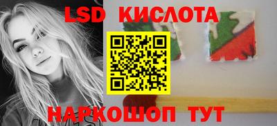 СК Краснознаменск