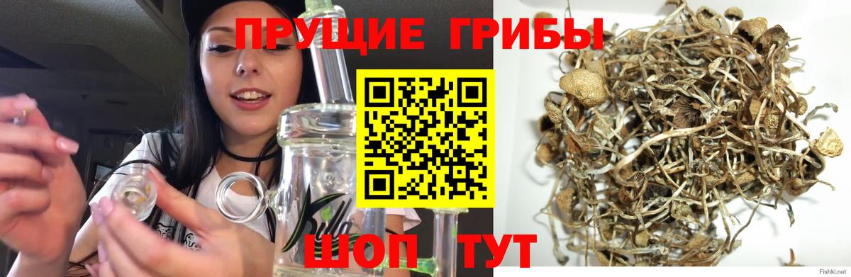 Галлюциногенные грибы мухоморы Елабуга