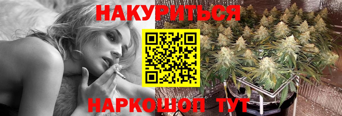 МАРИХУАНА сатива Елабуга