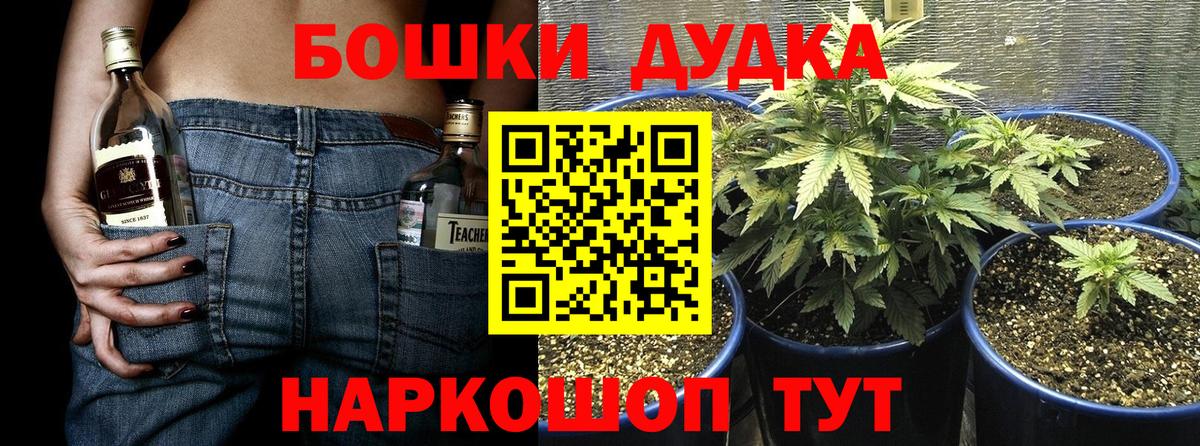 Бошки марихуана Bruce Banner  МАРИХУАНА гибрид  Елабуга  Бошки Шишки сатива  Вход с VPN 